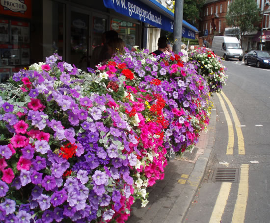 Amethyst_Horticulture_Ltd_Barrier_flower_basket_1.jpg