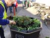 Pagoda Large Self Watering Floor Planter